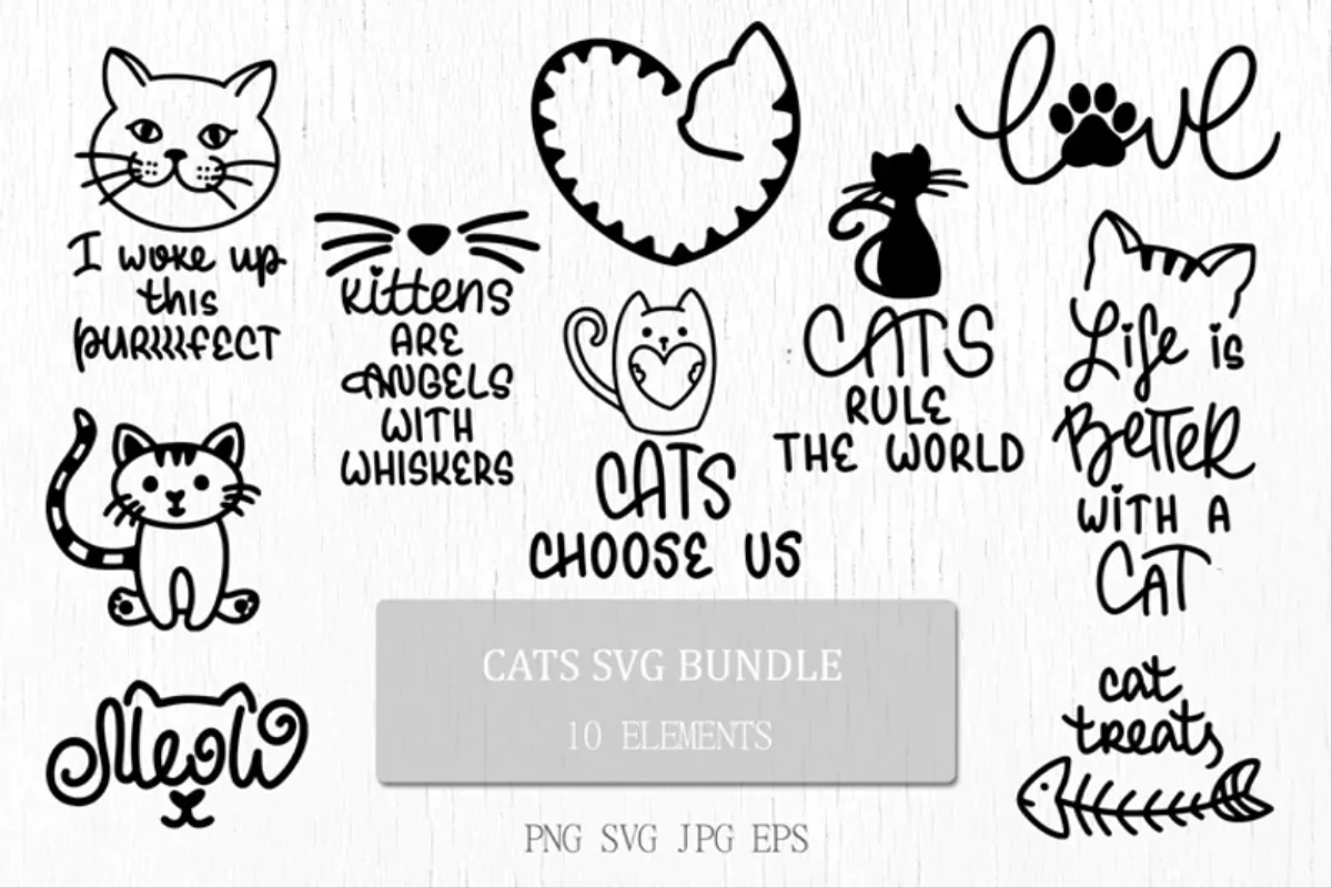 Cats SVG Bundle with Cute Quotes and Graphics for Cat Lovers